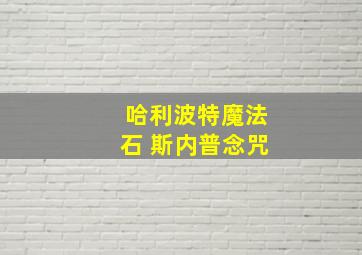 哈利波特魔法石 斯内普念咒